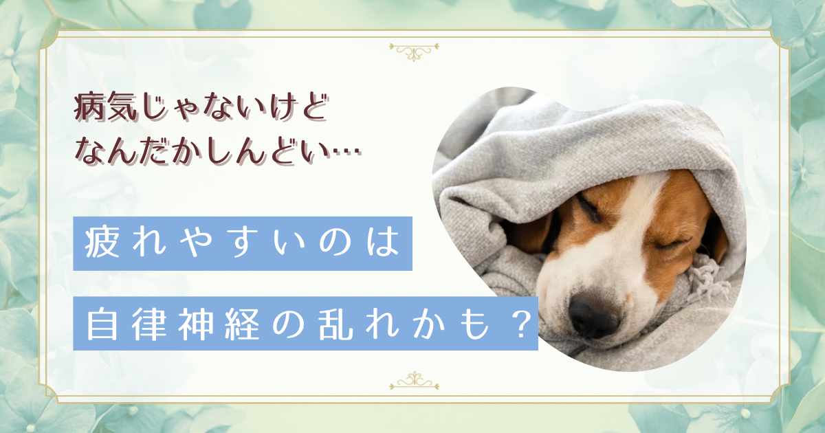 自律神経と免疫力の深い関係とは?セラピストが教える仕組みと改善法