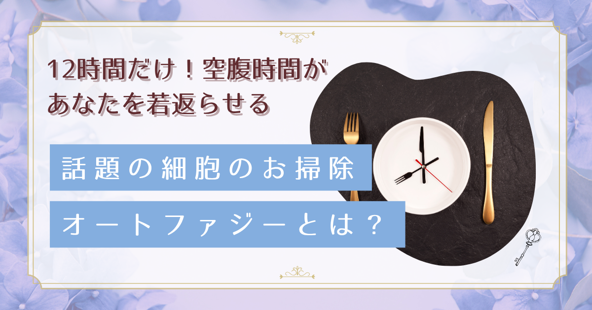 オートファジーで細胞が若返る仕組み。40代から始める12時間断食の効果と女性に優しい実践法