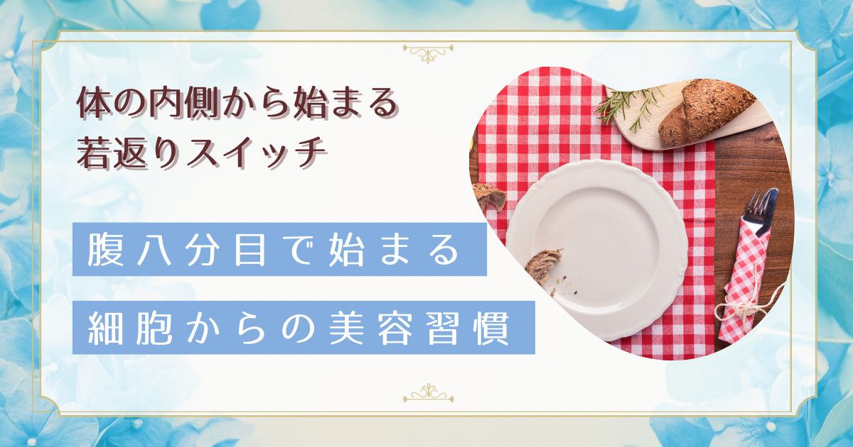 食べすぎが老ける原因に！腹八分目が美肌とアンチエイジングに効く4つの科学的理由と無理なく続ける実践法