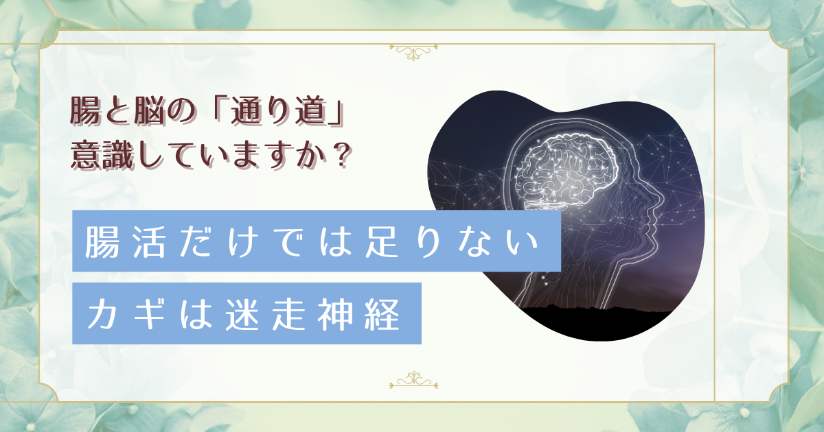 腸活しても不調が続くあなたへ｜迷走神経を整える5つのやさしいセルフケア